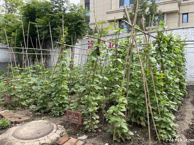 C:/Users/lenovo/AppData/Local/Temp/picturecompress_20220706173331/output_1.jpgoutput_1 C:/Users/lenovo/AppData/Local/Temp/picturecompress_20220706173331/output_1.jpgoutput_1