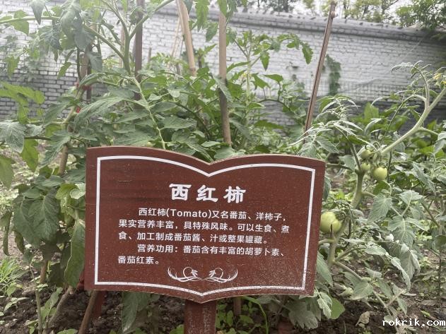 C:/Users/lenovo/AppData/Local/Temp/picturecompress_20220706173335/output_1.jpgoutput_1 C:/Users/lenovo/AppData/Local/Temp/picturecompress_20220706173335/output_1.jpgoutput_1